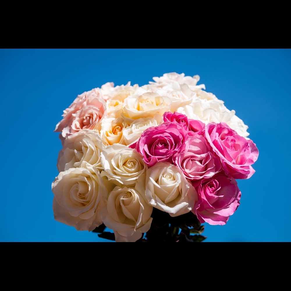 Meet your Posher, Laurence